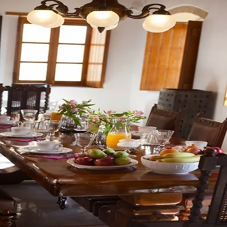 Theophano Art بيت ضيافة