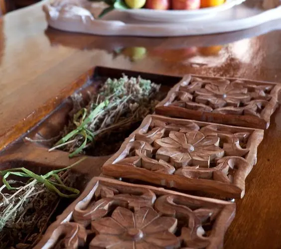 Theophano Art 게스트하우스